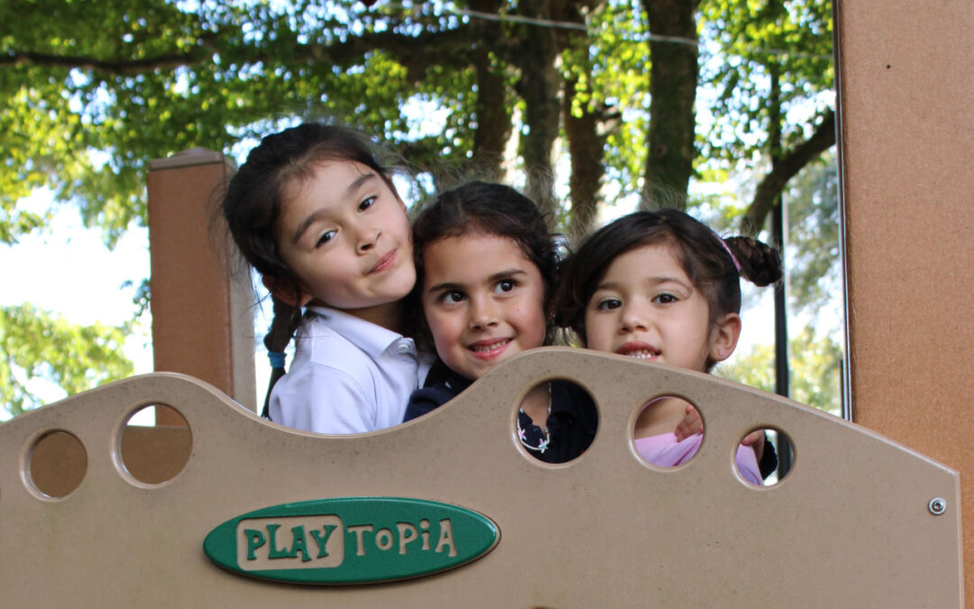 Why Early Experiences Matter: Understanding Synapses from Birth to Age Five