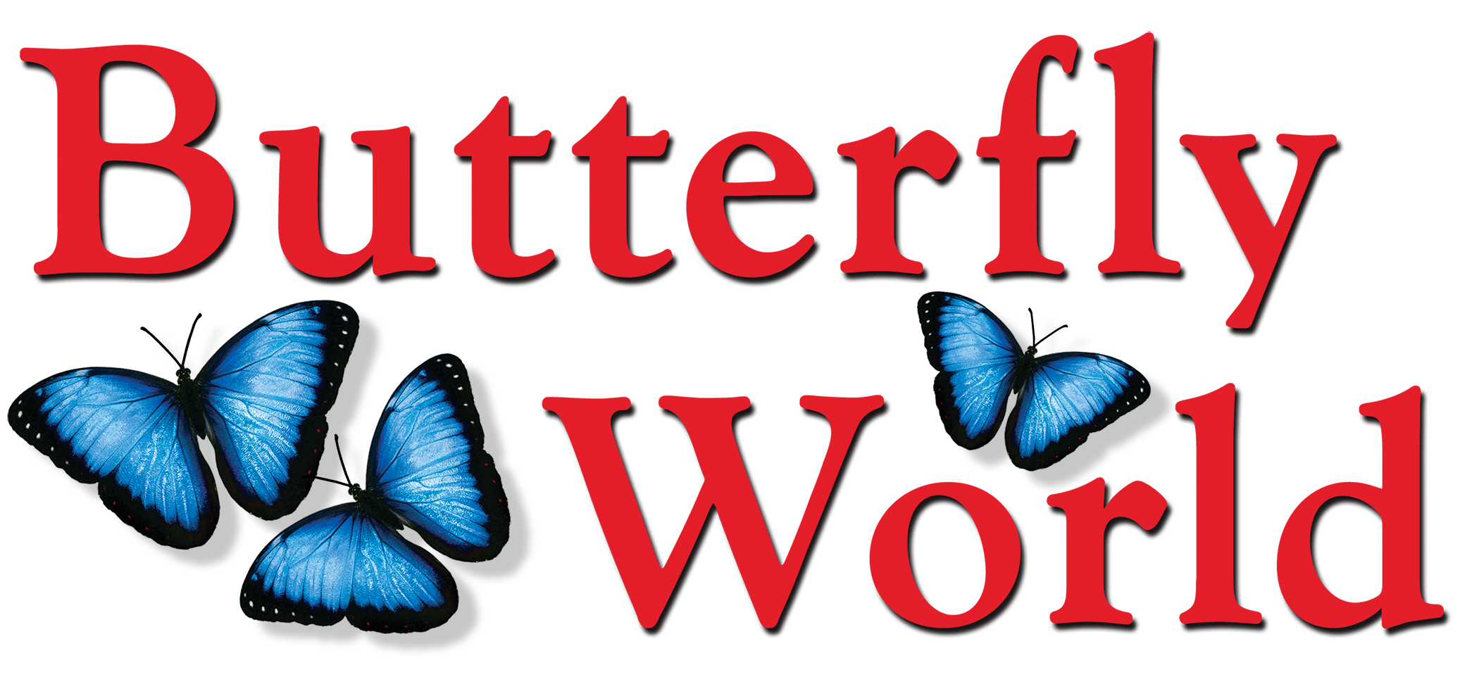 Butterfly World